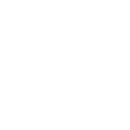 Digital Trotteur